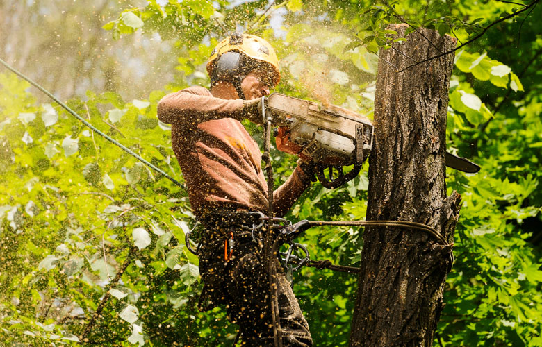 ΤΕΣΚΑΛ ΤΕΧΝΙΚΗ ΣΥΝΟΛΙΚΗ ΚΑΛΥΨΗ